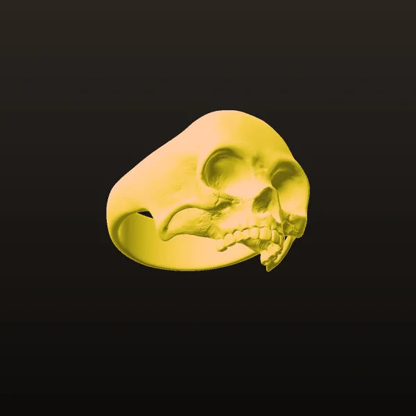 Skeleton Ring SK-02 3D Model