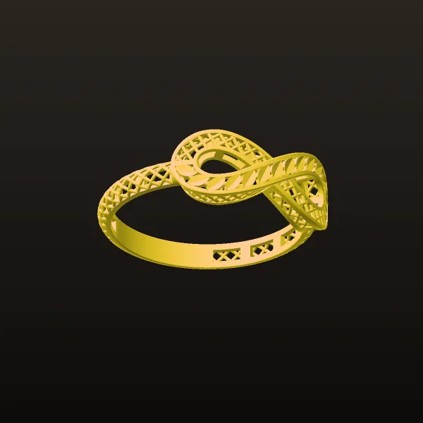 Fyvzhn Ring Code 3 3D Model