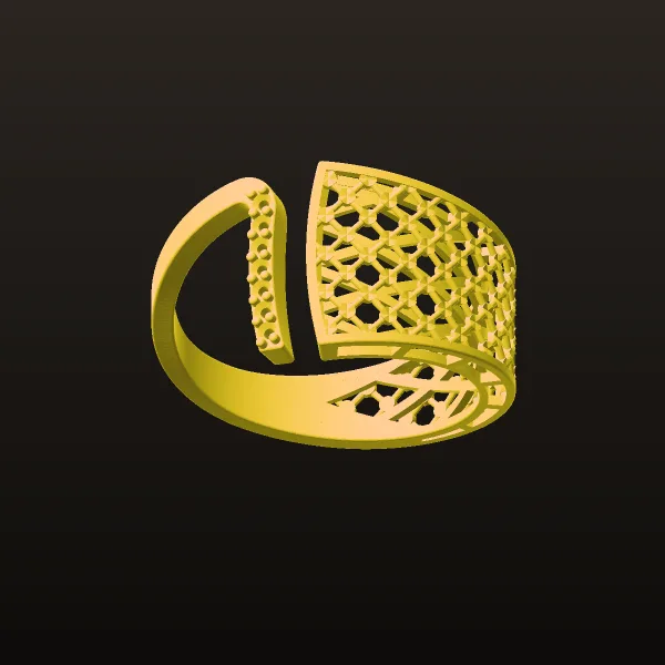 Tarashkhor Ring Code 1 3D Model