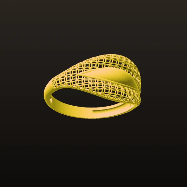 Fyvzhn Ring F-1 3D Model