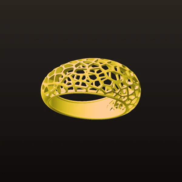 Damleh Tori Ring 3D Model