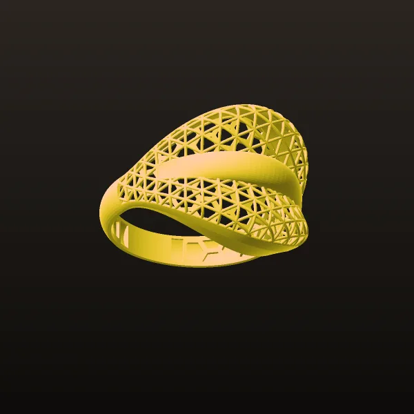 Fyvzhn Ring Code 1 3D Model