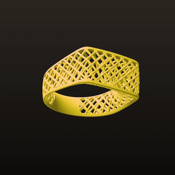 Fyvzhn Ring Code 2-1 3D Model