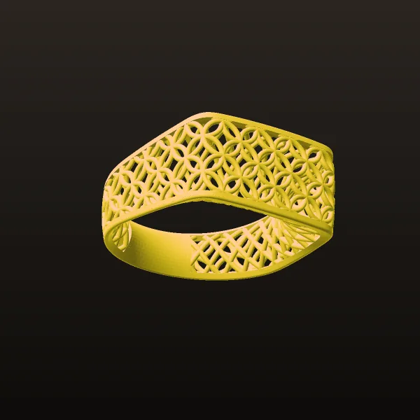 Fyvzhn Ring Code 2-2 3D Model