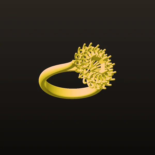 Sabdi Ring Code 04 3D Model
