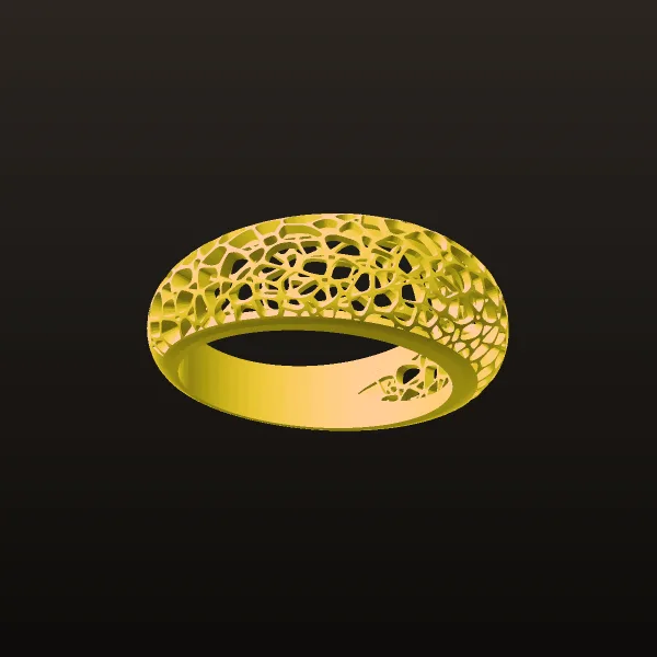 Fyvzhn Sabk Sakhreh Ai Ring 3D Model