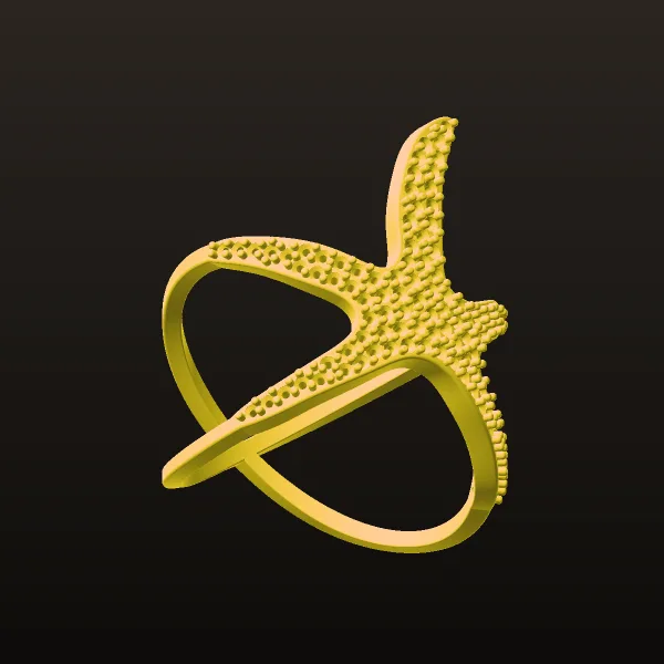 Star Daryayi Ring Code 02 3D Model