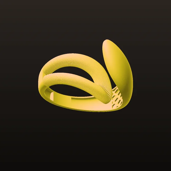 Ring MD 6 3D Model