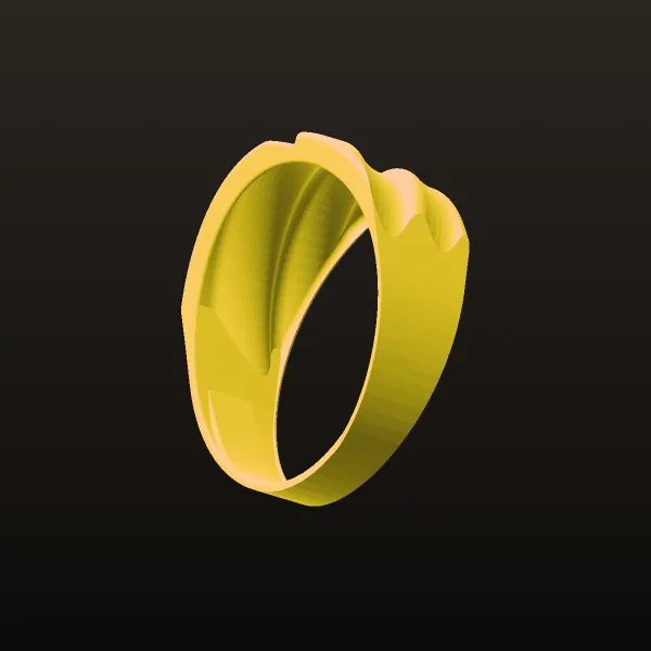 Ring Aurora 2 3D Model
