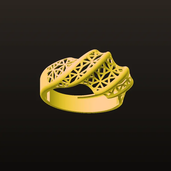 Fyvzhn Ring 2 3D Model
