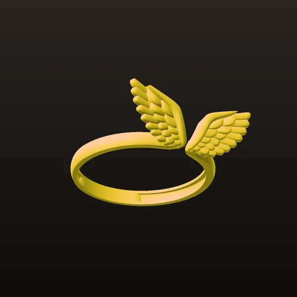 Minimal Wing Ring Code 06 3D Model