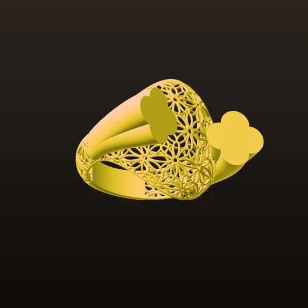 Fyvzhn Ring 2 3D Model