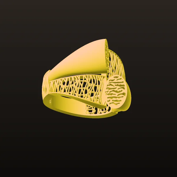 Fyvzhn Ring 4 3D Model