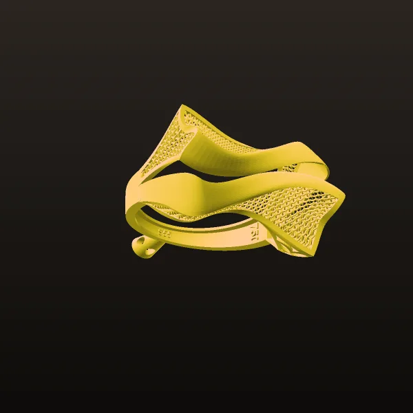 Tori Astkhvan Ring 3D Model