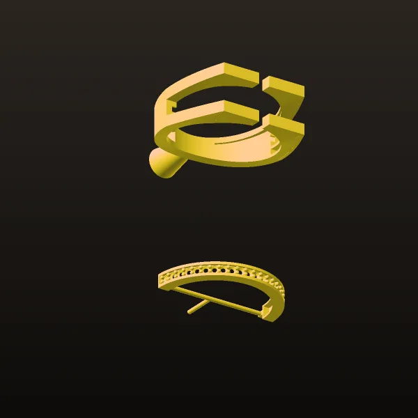 Shakaf Talayi Ring 3D Model