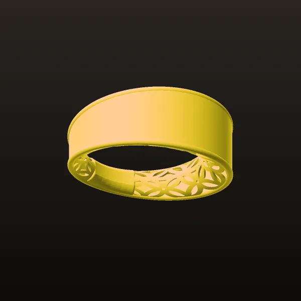 Fyvzhn Ring Code RTR1 3D Model