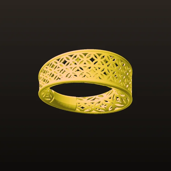 Fyvzhn Ring Code RTR4 3D Model
