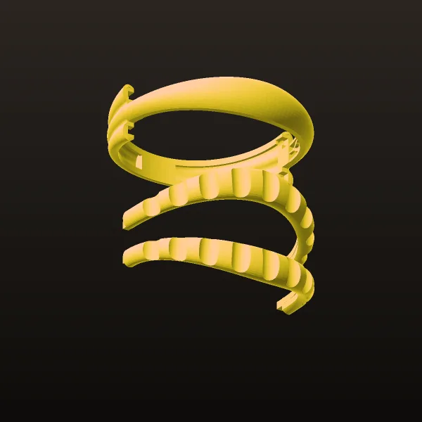 Chand Takeh Ring Code 17 3D Model