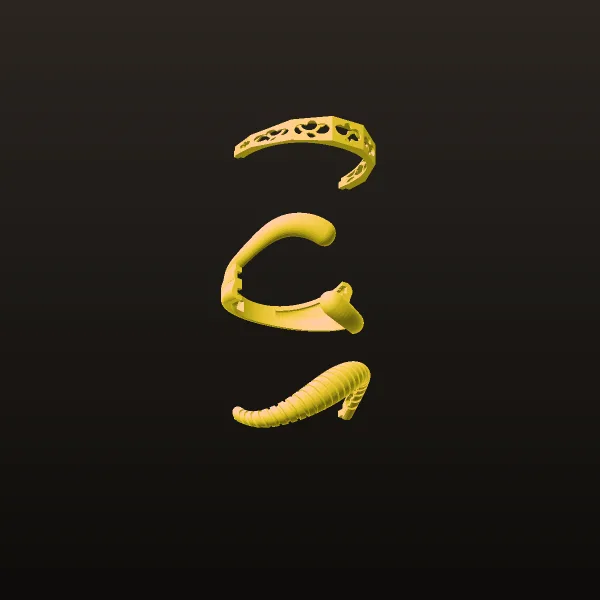 Chand Takeh Ring Code 22 3D Model