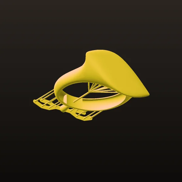 Doki Ring 3D Model