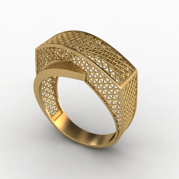 Fyvzhn Ring Code 2 3D Model — image 2