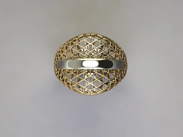 Fyvzhn Ring Code 1 3D Model — image 5