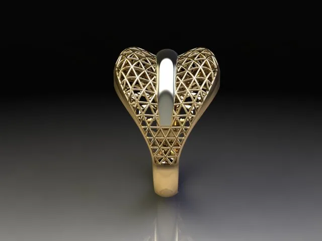 Fyvzhn Ring Code 1 3D Model — image 6