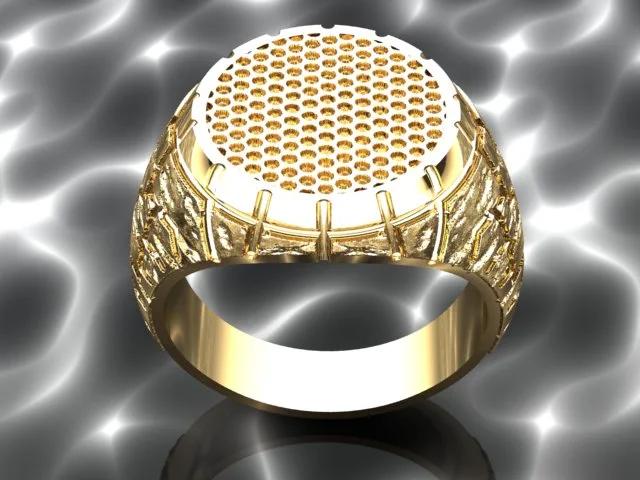 Men's Ring 3D Model