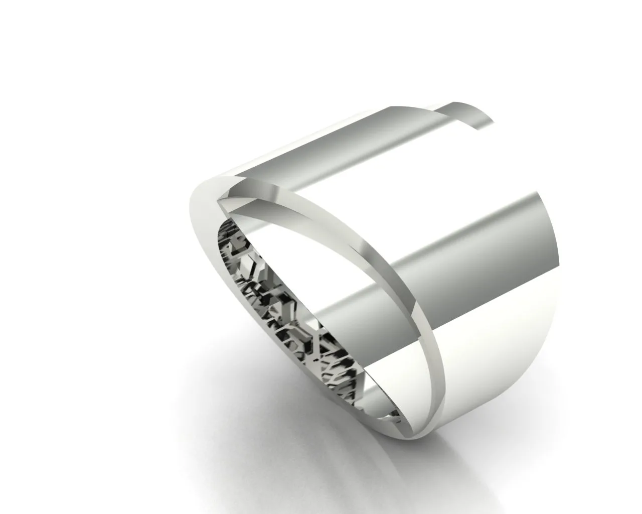 Ring Vhernier Code 1 3D Model — image 3