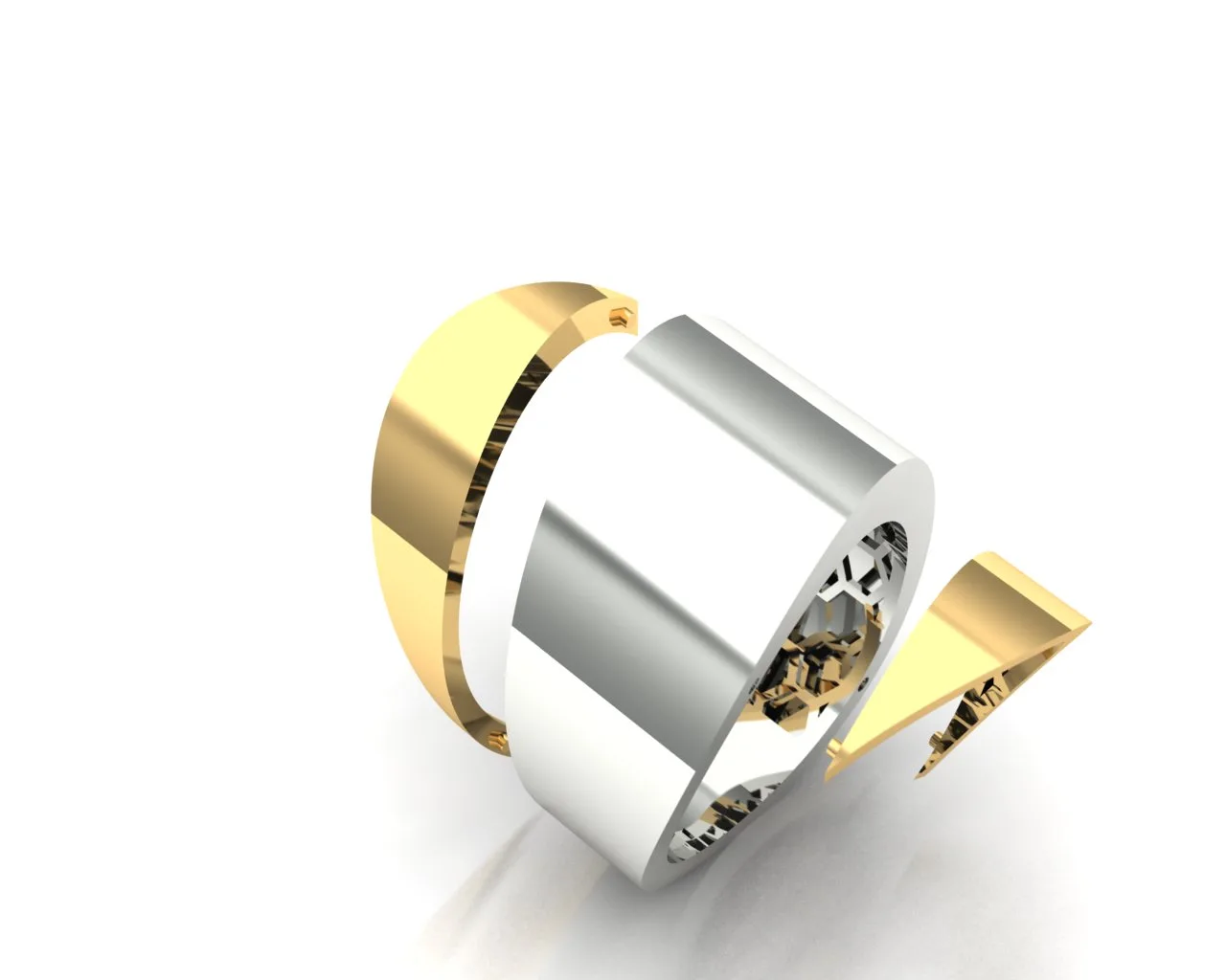 Ring Vhernier Code 1 3D Model — image 2