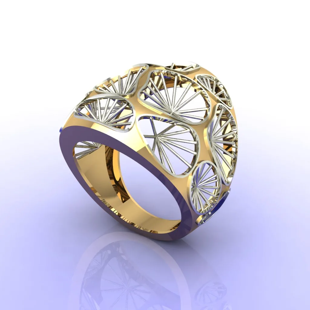 Fyvzhn Ring 01 3D Model