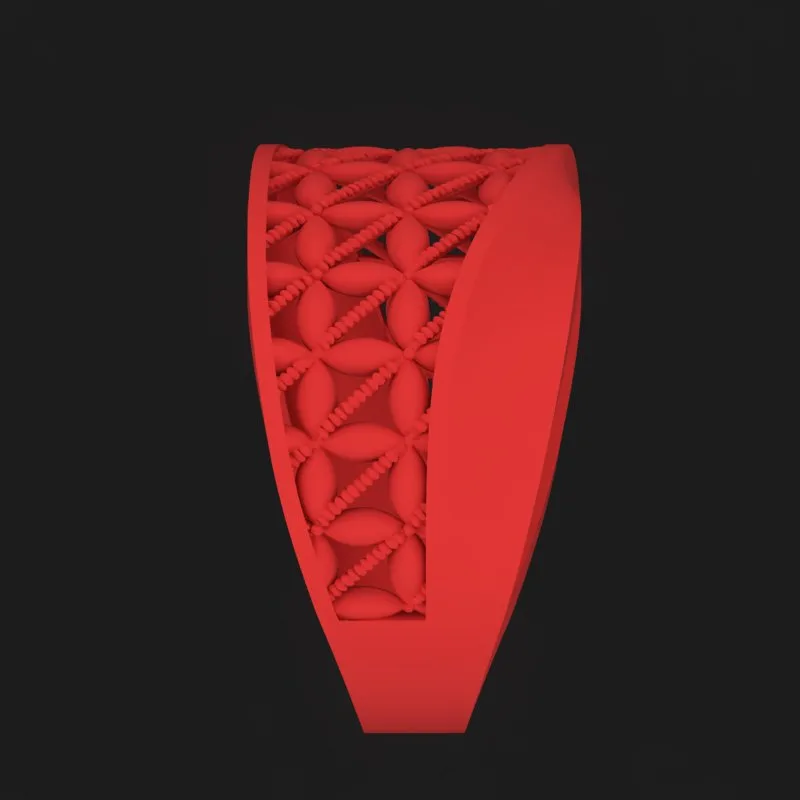 Cut Khor Aineh Fyvzhn Ring R-T-154 3D Model — image 4