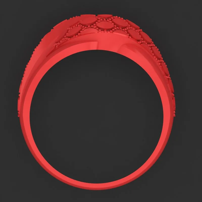 Cut Khor Aineh Fyvzhn Ring R-T-198 3D Model — image 3