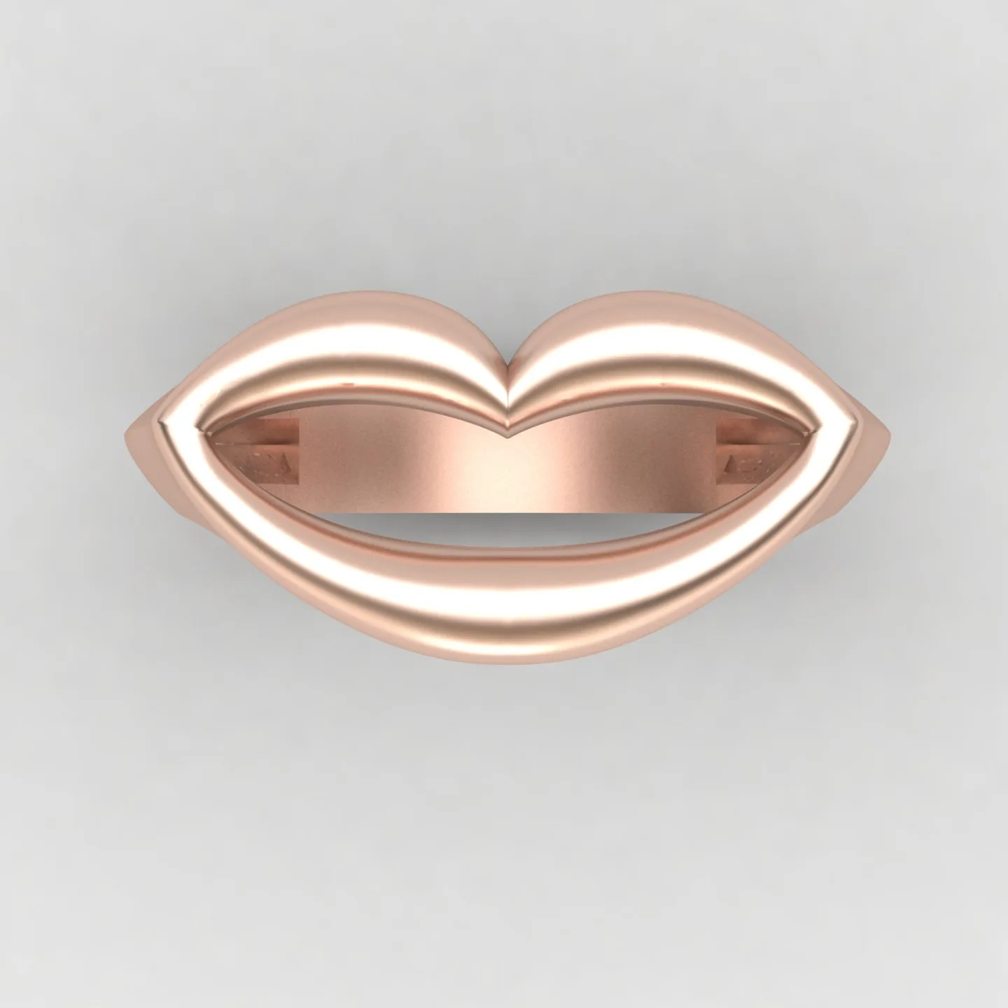 Minimal Lab Ring 3D Model — image 6