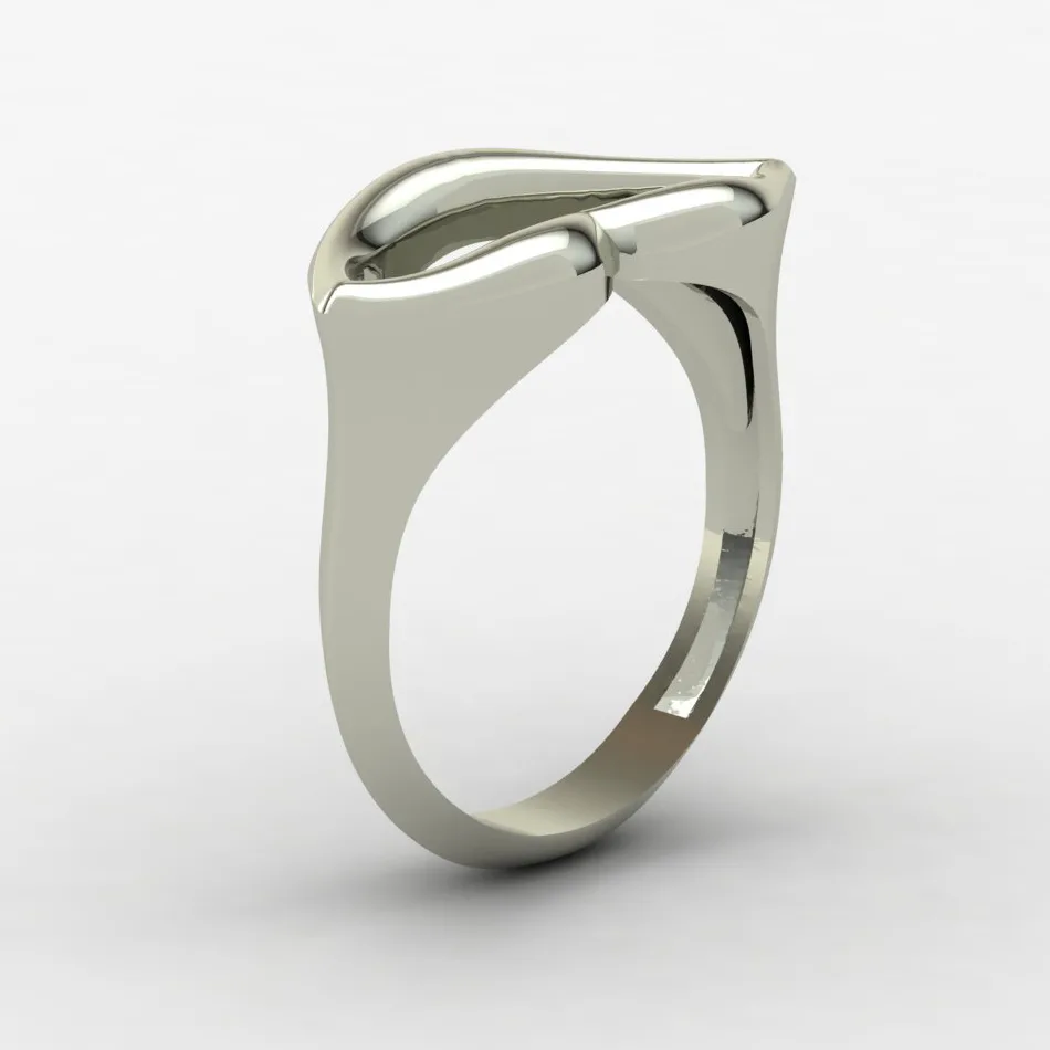Minimal Lab Ring 3D Model — image 19