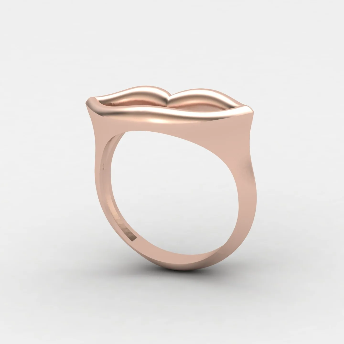 Minimal Lab Ring 3D Model — image 14