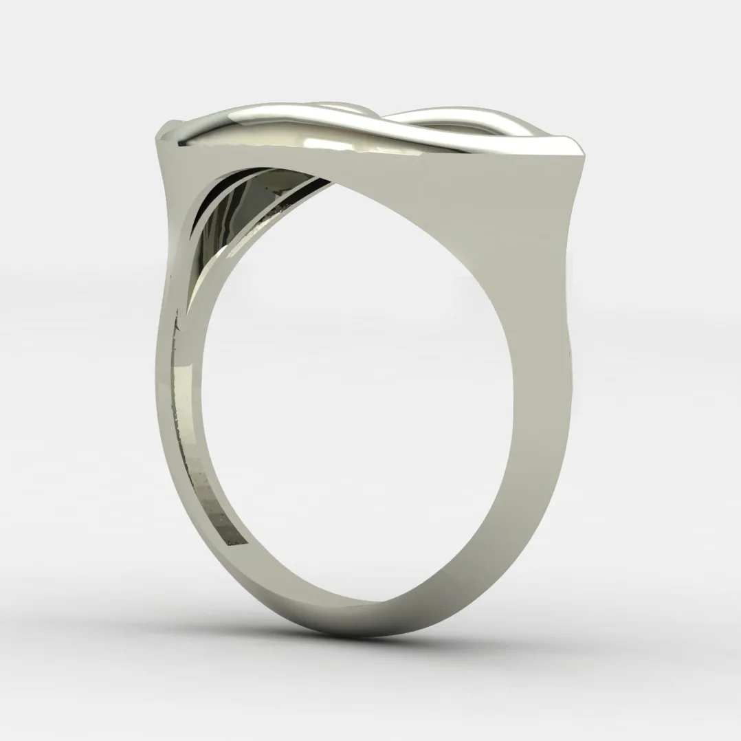 Minimal Lab Ring 3D Model — image 17