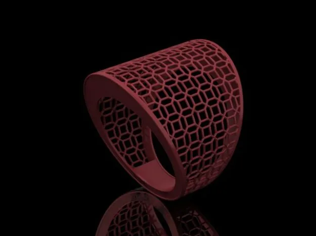 Fyvzhn Ring Code 2 3D Model