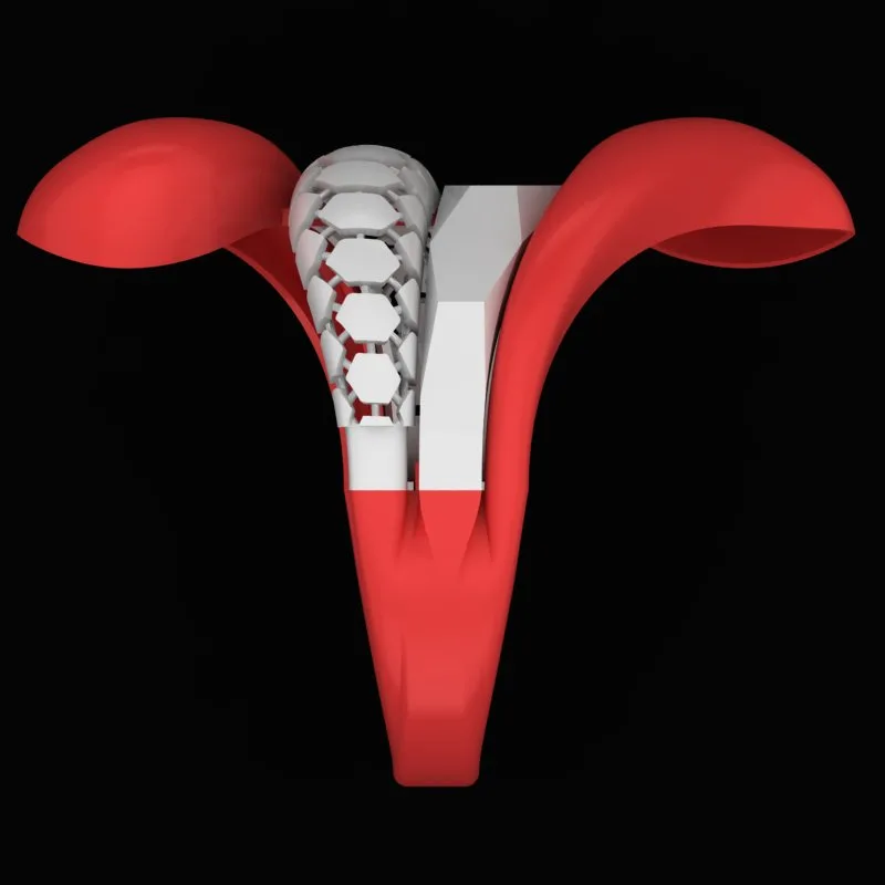 Cut Khor Ring R-T-A-03 3D Model — image 4