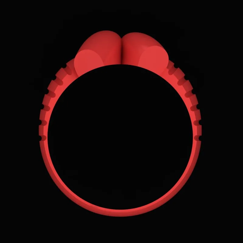 Matte Polished Ring R-M&B-03 3D Model — image 3