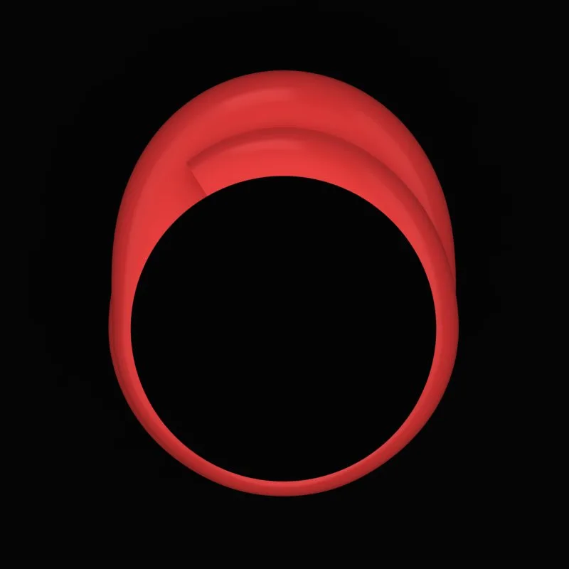 Matte Polished Ring R-M&B-05 3D Model — image 3