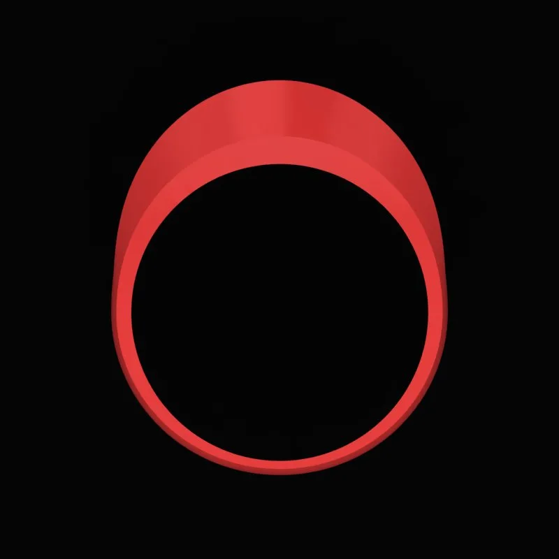 Matte Polished Ring R-M&B-10 3D Model — image 3