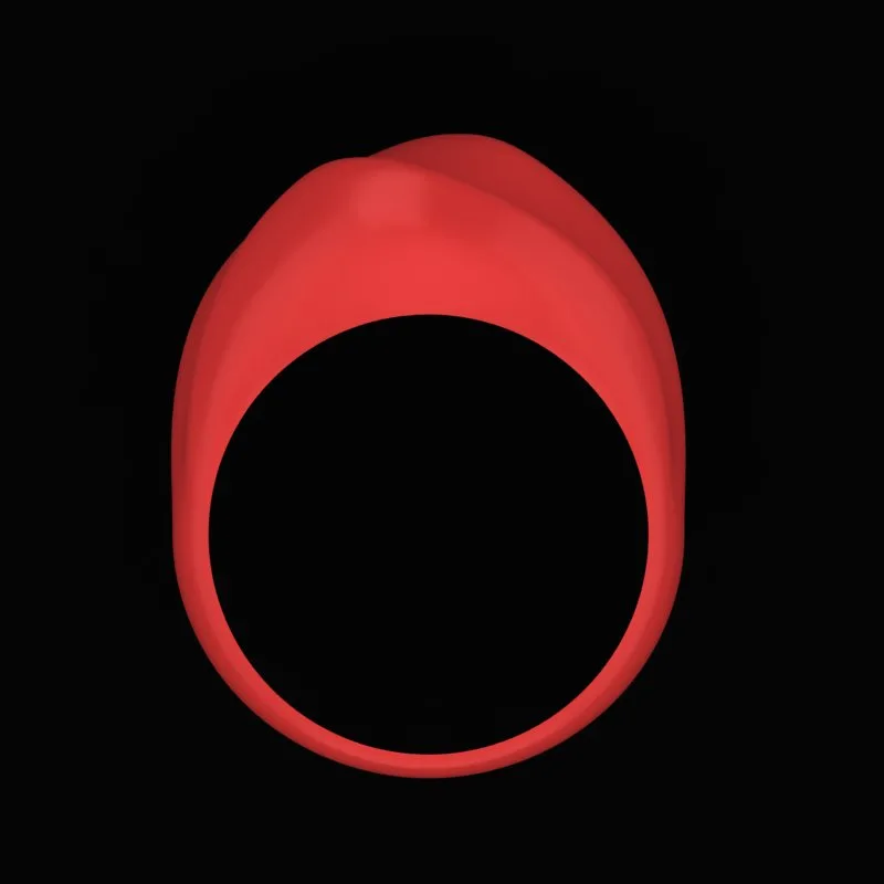 Matte Polished Ring R-M&B-12 3D Model — image 3