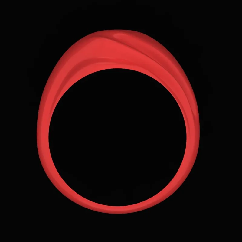 Matte Polished Ring R-M&B-13 3D Model — image 3