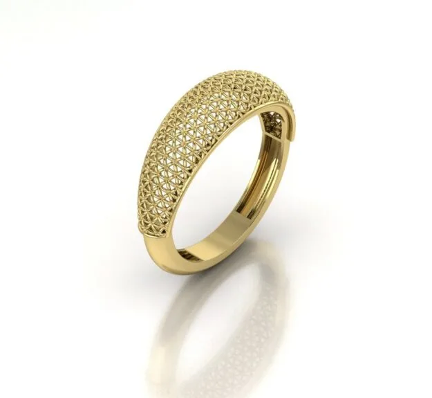 Fyvzhn Sadeh Ring Code 1 3D Model